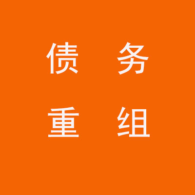 城子河个人债务重组优化